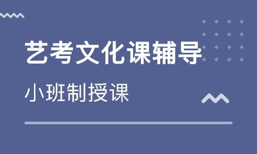 郑州艺考文化课补习哪好？