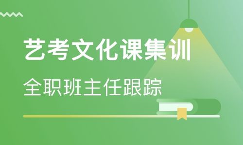 郑州艺考生文化课培训校外补习效果更好吗？