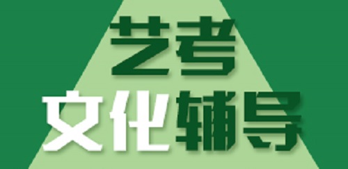 校考后，河南艺术生文化课辅导哪种补习能快速提升？