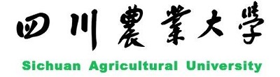 四川农业大学公布2020年高考招生录取分数