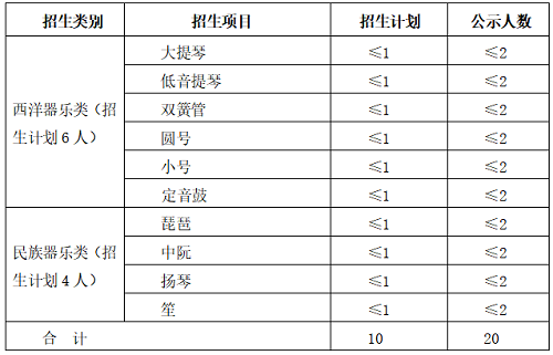 中南大学2021年高水平艺术团招生简章