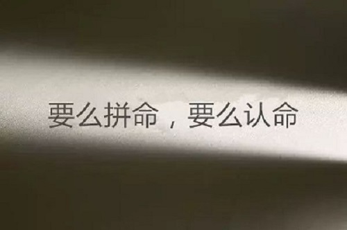 灵宝高三辅导班排名_郑州高考集训学校排行榜